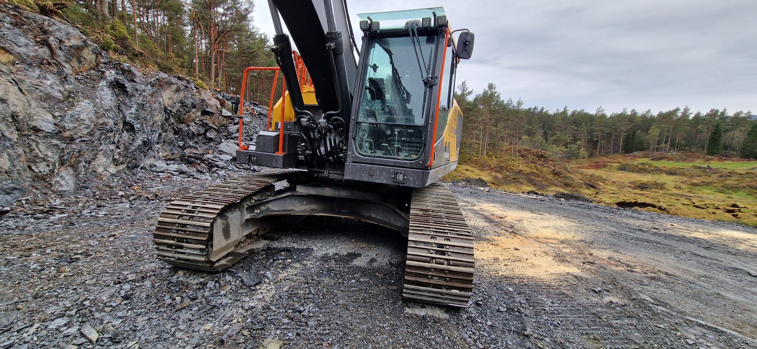 Det reduksjonistiske naturomgrepet må forkastast